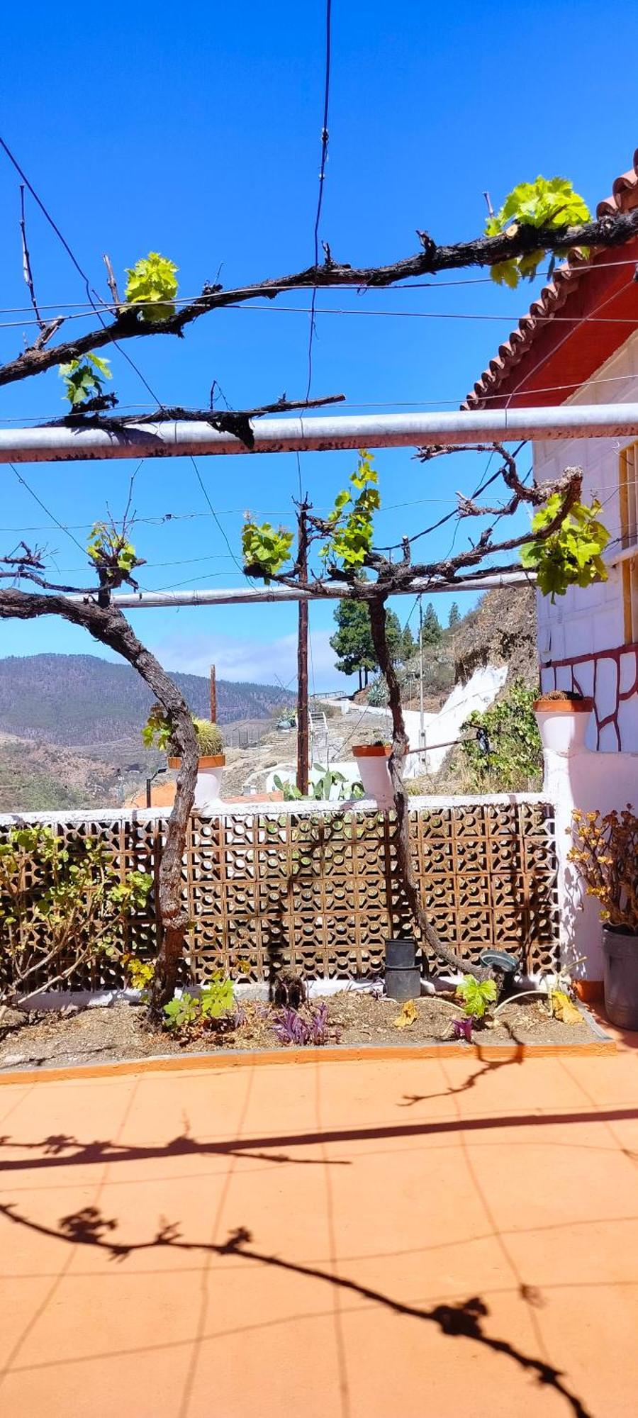 Casa Cueva Rural Trebola, Artenara Juncalillo Eksteriør bilde